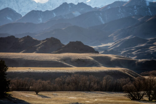 Landscape 6