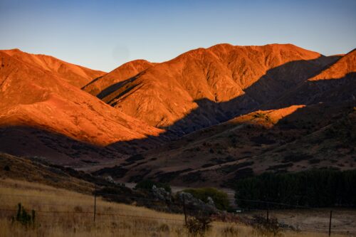 Landscape 1