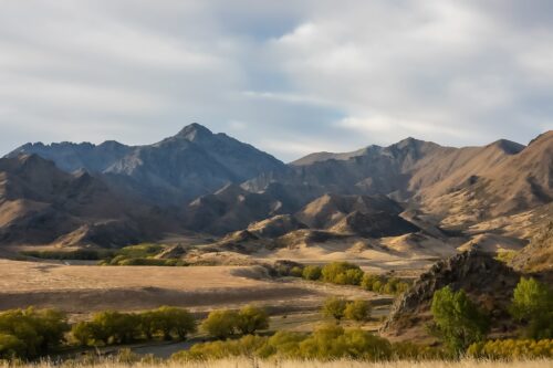 Landscape 5