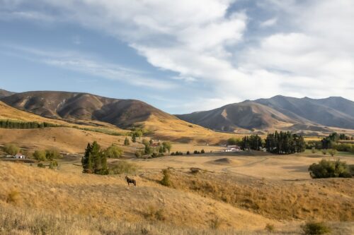 Landscape 11