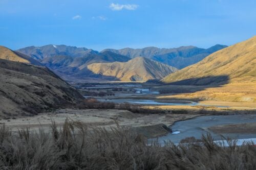 Landscape 7
