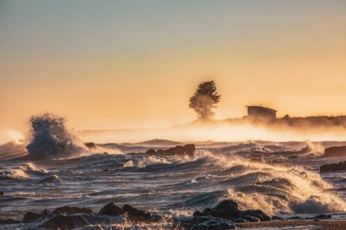 Beached 1