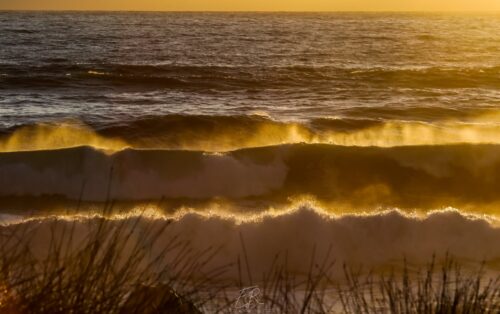 Beached 3