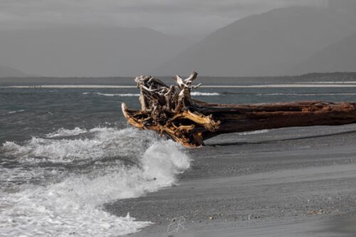 Beached 12